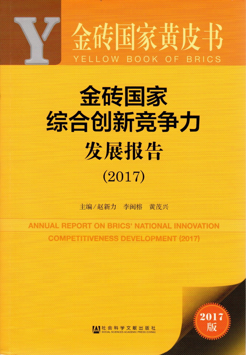 看看老年人操逼金砖国家综合创新竞争力发展报告（2017）